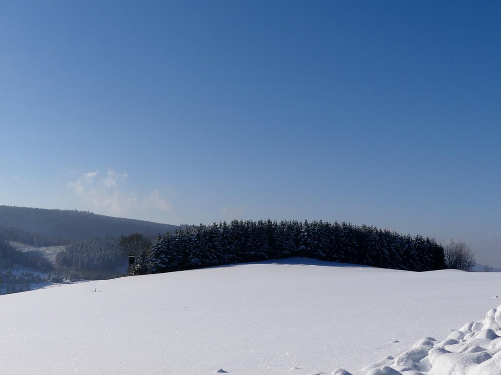 Pension Haus Am Walde Schmallenberg Bagian luar foto