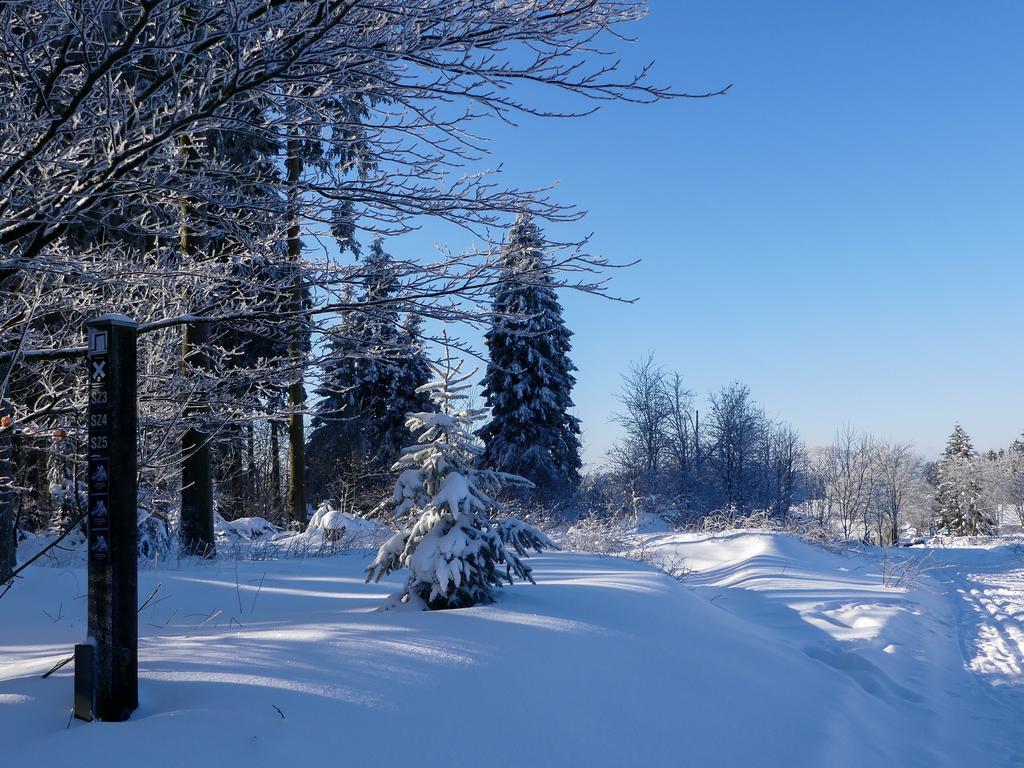 Pension Haus Am Walde Schmallenberg Bagian luar foto