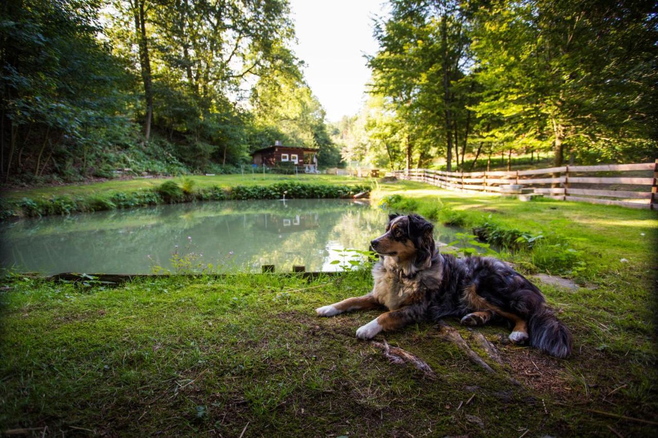 Pension Haus Am Walde Schmallenberg Bagian luar foto