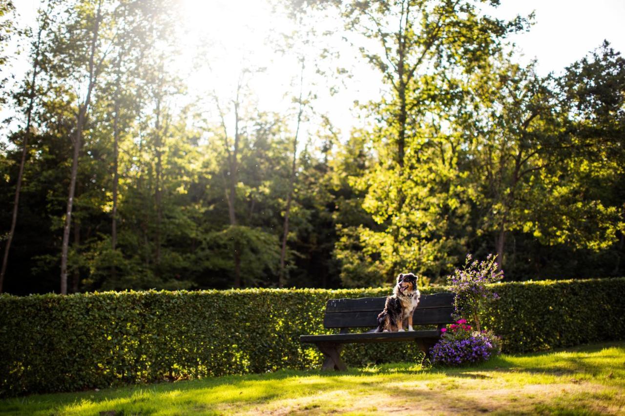 Pension Haus Am Walde Schmallenberg Bagian luar foto